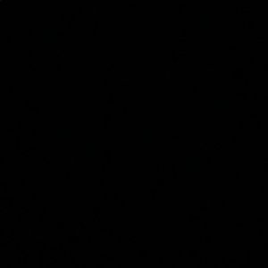 Meet your Posher, Payton